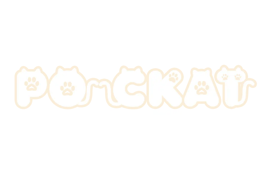 Pockat logo